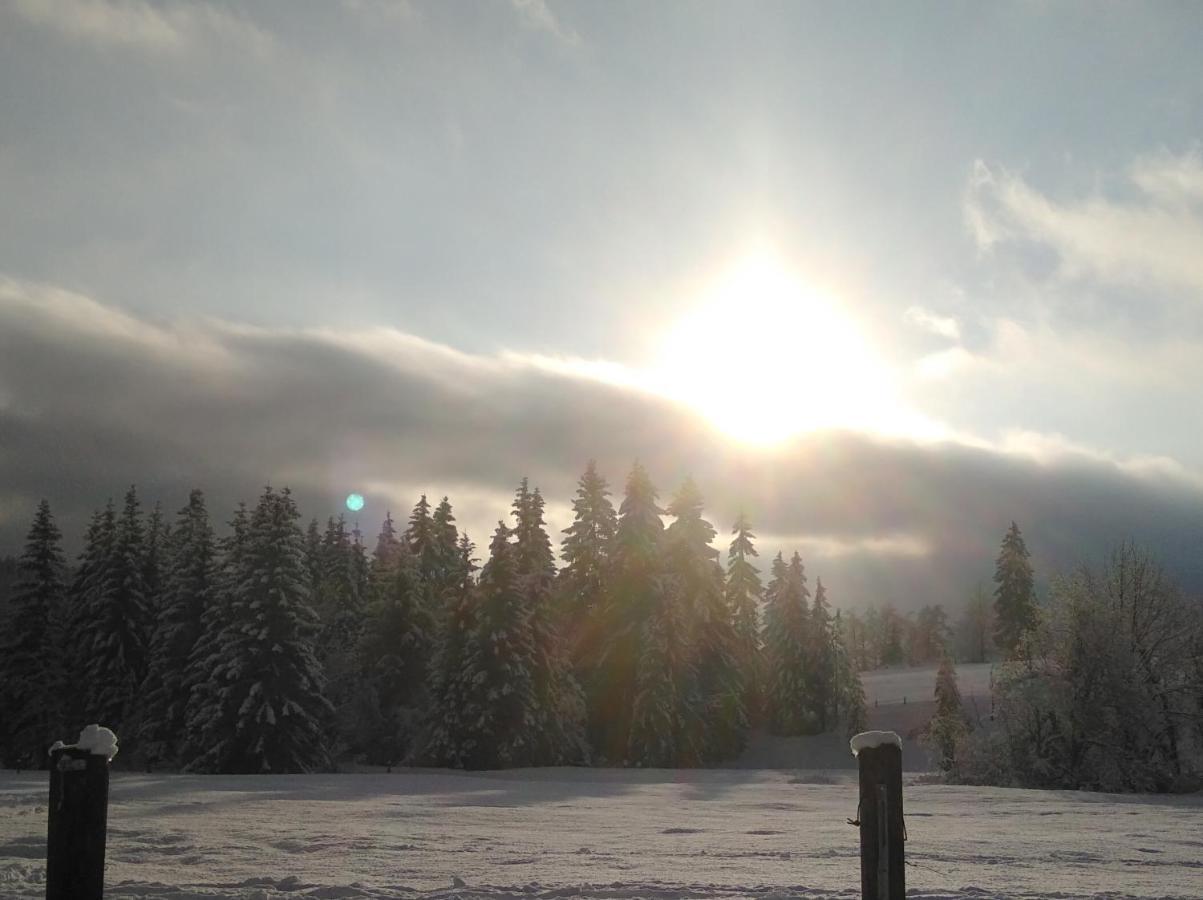 Ferienwohnungen Recherhof Hochfilzen Eksteriør billede