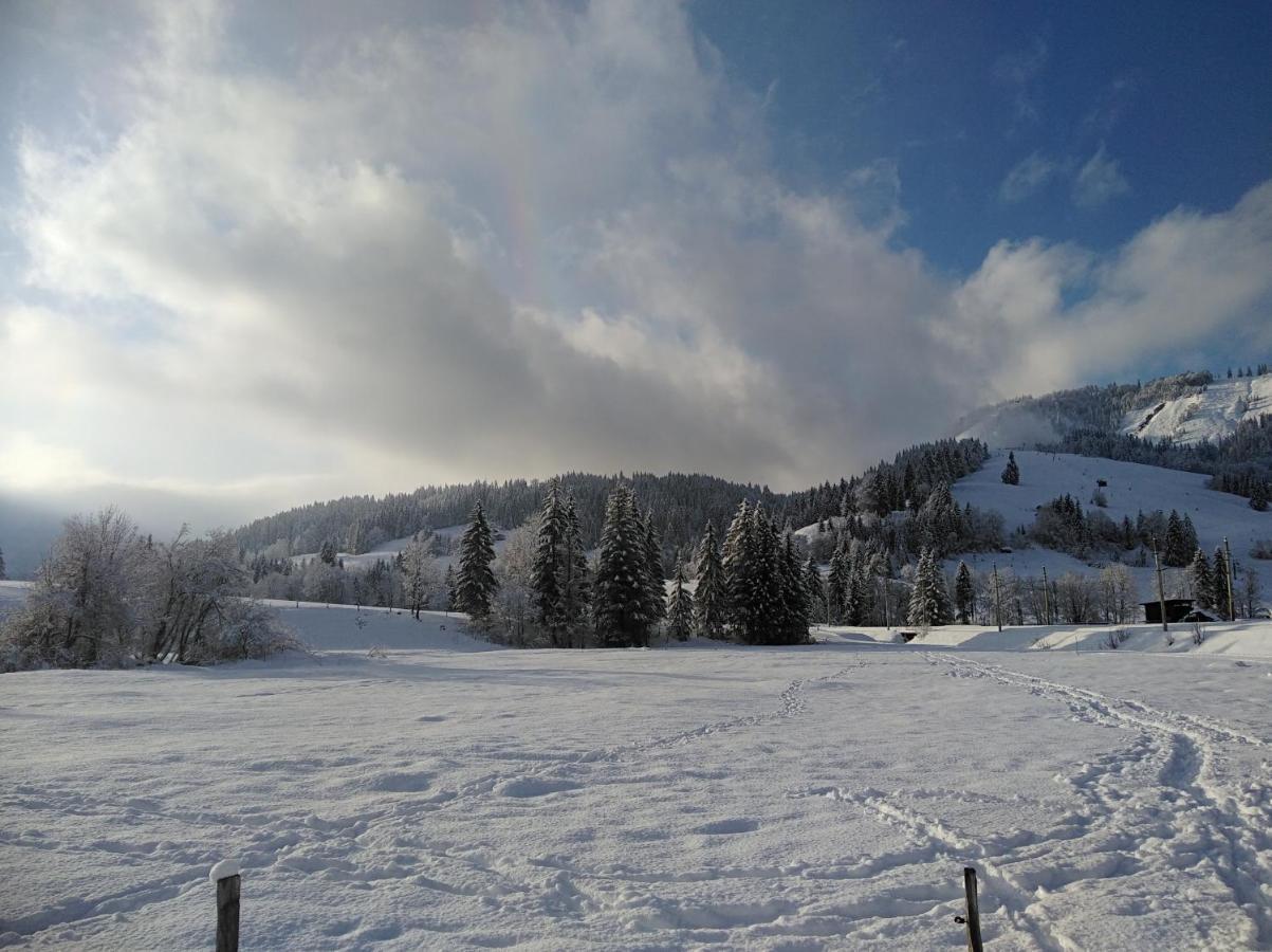 Ferienwohnungen Recherhof Hochfilzen Eksteriør billede