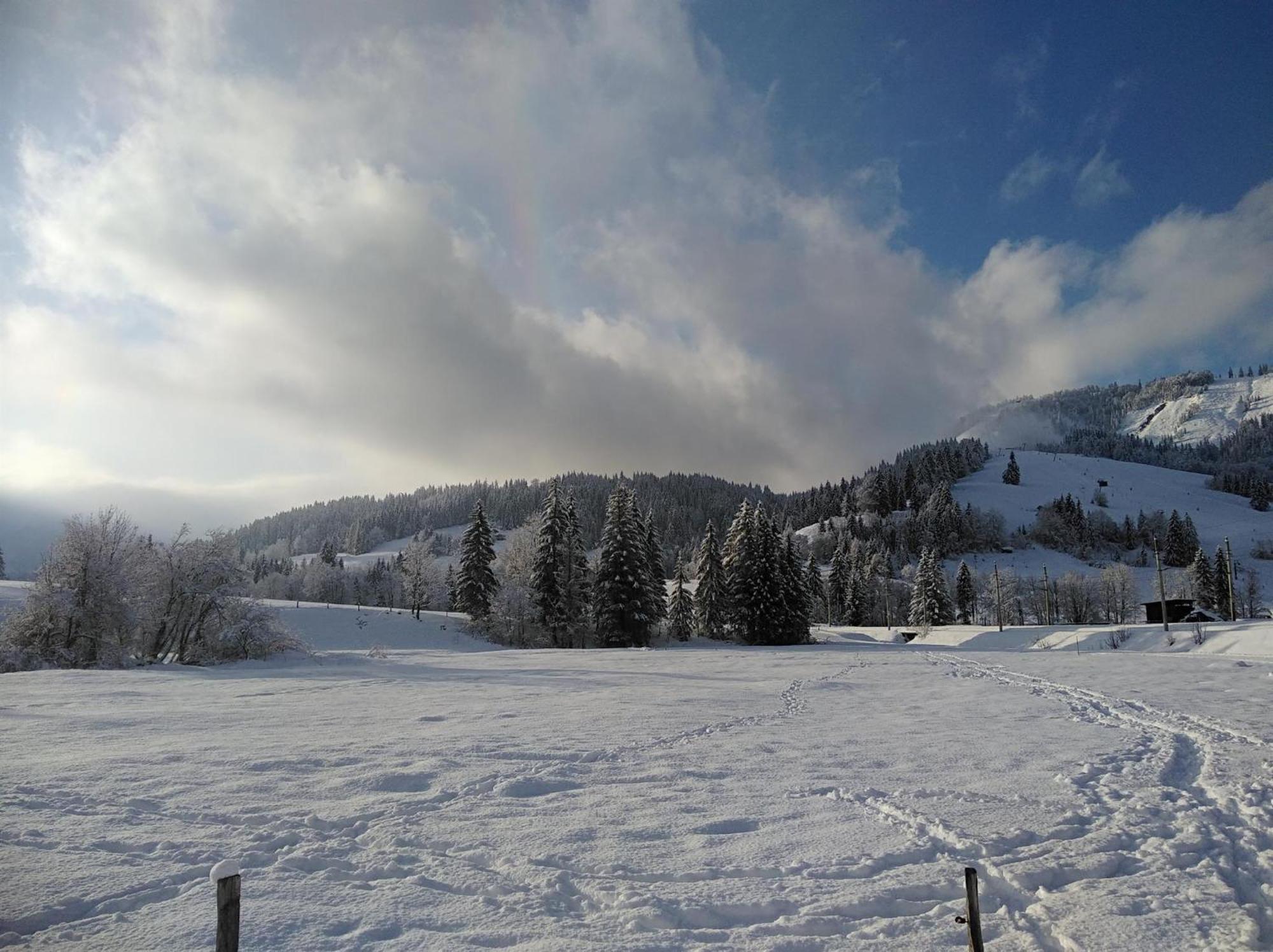 Ferienwohnungen Recherhof Hochfilzen Eksteriør billede